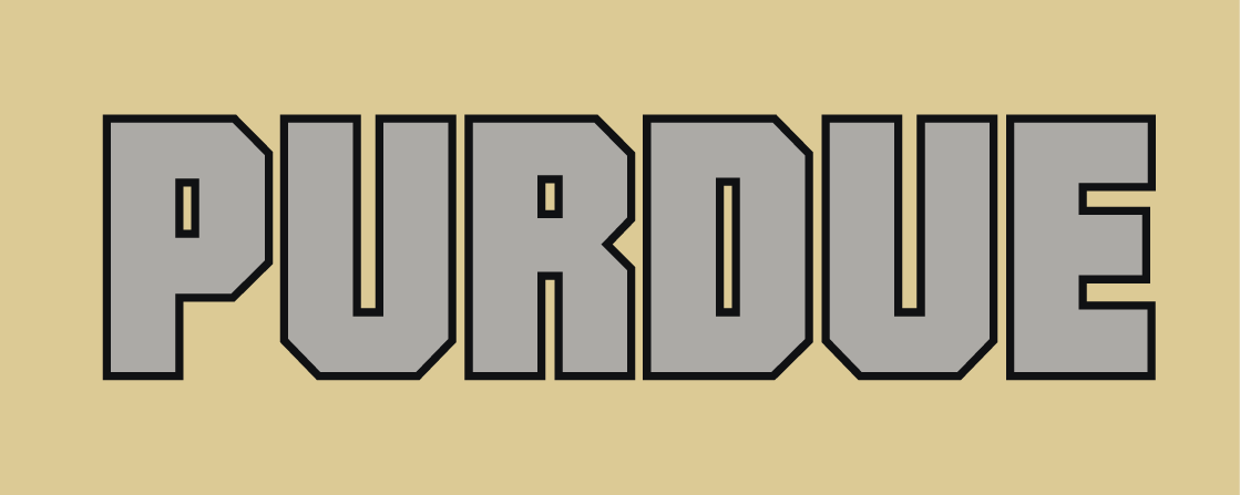 Purdue Boilermakers 2012-Pres Wordmark Logo v3 iron on transfers for clothing